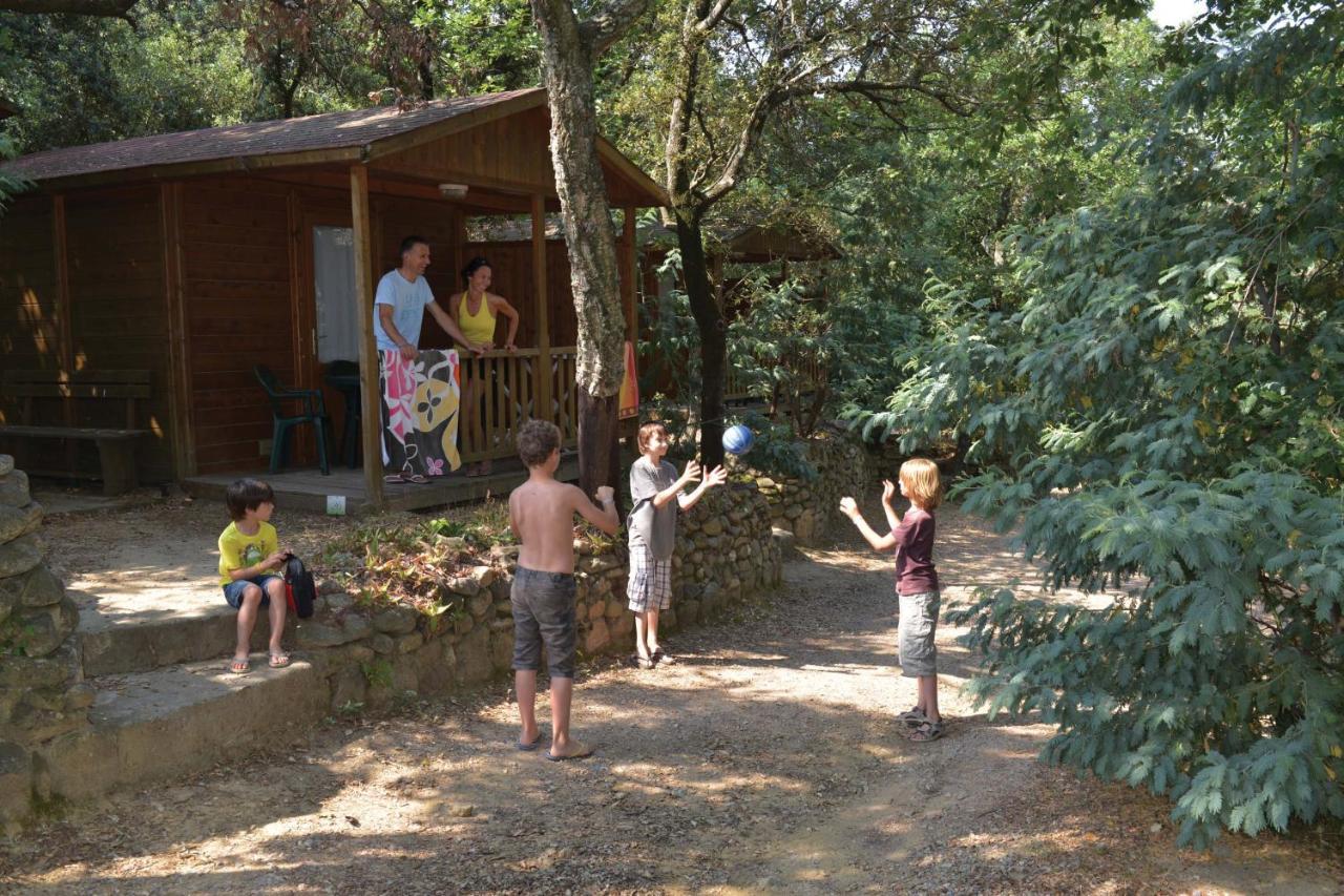 Camping Des Alberes Laroque-des-Albères Exteriér fotografie