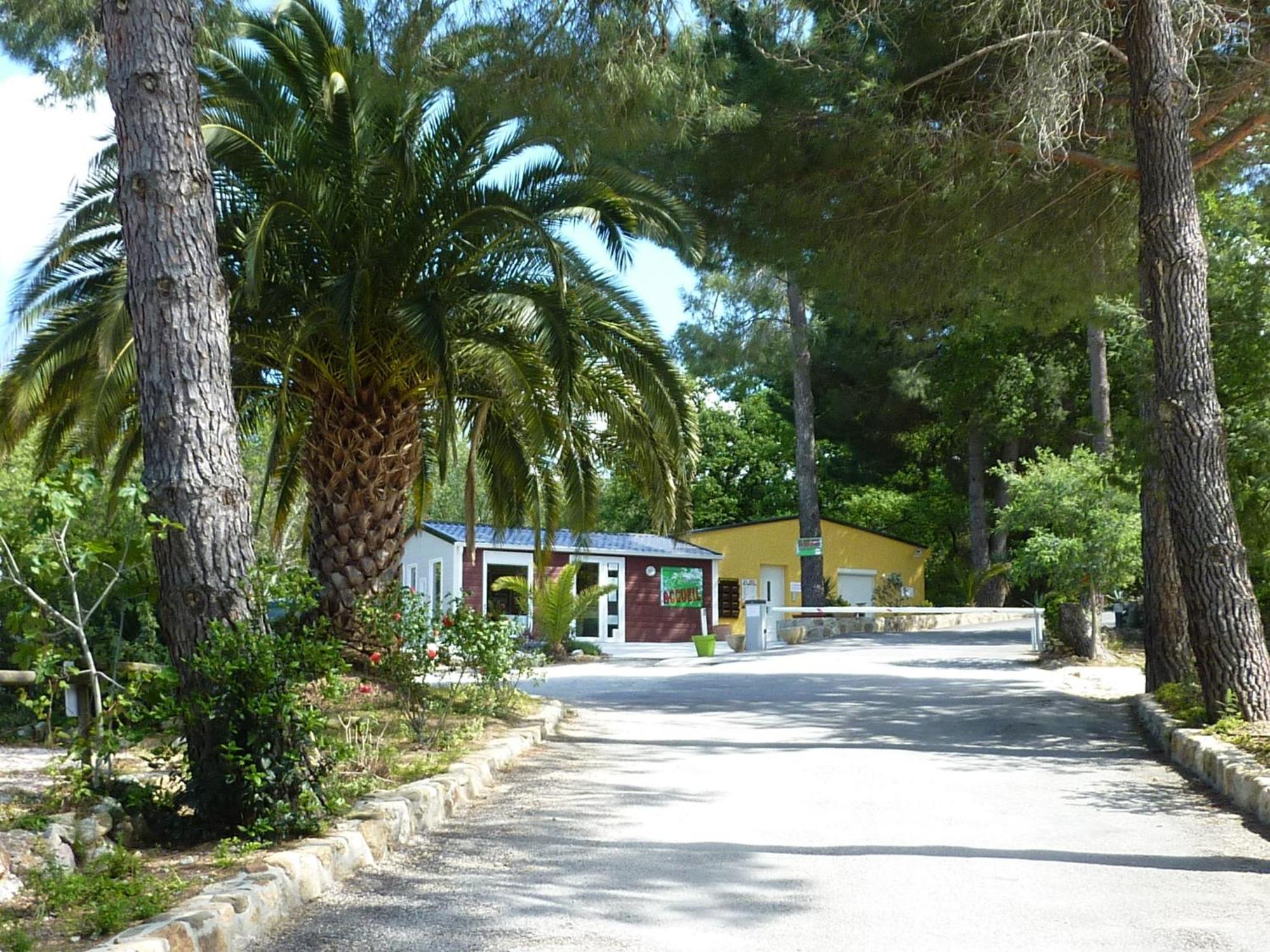 Camping Des Alberes Laroque-des-Albères Exteriér fotografie